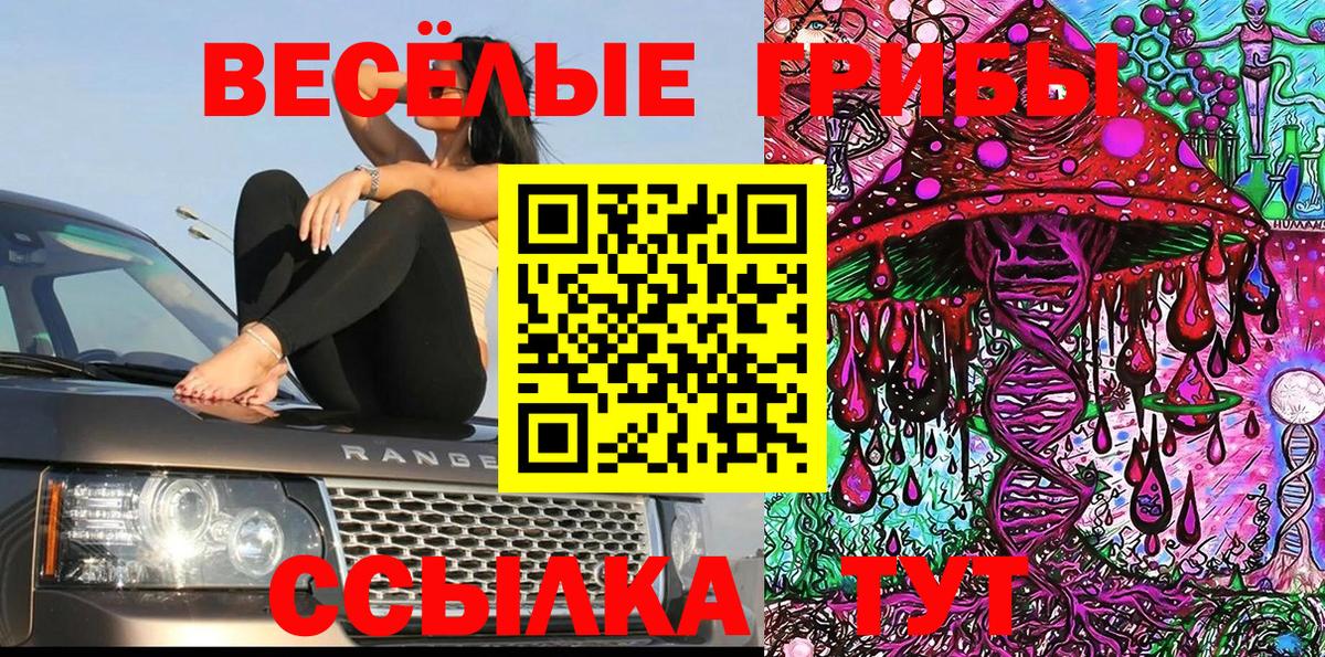 Галлюциногенные грибы Psilocybe Лесозаводск